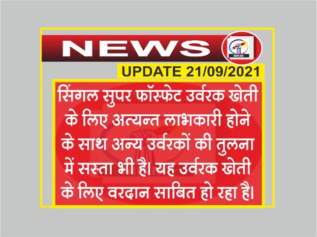 सिंगल सुपर फॉस्फेट खेती के लिए वरदान