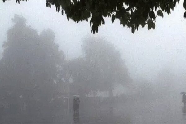 बरसात से कटाई के बाद रखी फसल खराब होने पर मिल सकेगा बीमा क्लेम, 72 घण्टे में देनी होगी सूचना