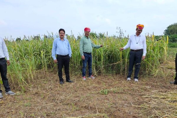 राष्ट्रीय खाद्य सुरक्षा मिशन के राष्ट्रीय सलाहकार ने किया फसल नुकसान का निरीक्षण